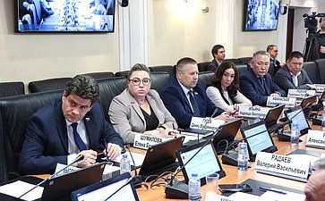 Заседание Комитета Совета Федерации по федеративному устройству, региональной политике, местному самоуправлению и делам Севера