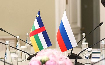 Валентина Матвиенко провела встречу с Председателем Национального собрания Центральноафриканской Республики Симплисом Матьё Саранджи