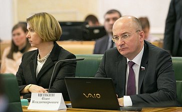 О. Цепкин Заседание Комитета Совета Федерации по бюджету и финансовым рынкам