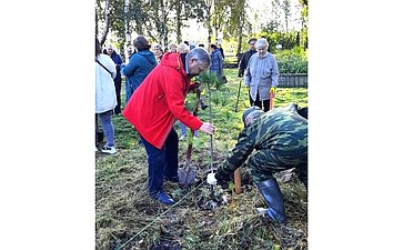 Александр Ракитин принял участие в акции «Сад памяти», которую организуют «Волонтеры Победы»