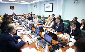 Заседание Комитета Совета Федерации по социальной политике