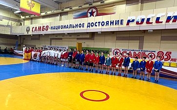Николай Владимиров приветствовал юных самбистов на соревнованиях в Чувашии