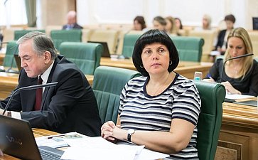 Е. Афанасьева В Совете Федерации состоялось заседание Комитета Совета Федерации по конституционному законодательству и государственному строительству