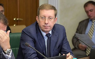 А. Майоров Заседание Комитета СФ по экономической политике