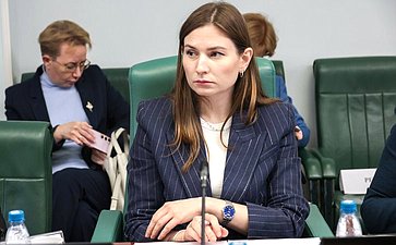Расширенное заседание Комитета СФ по социальной политике (в рамках дней Тульской области в Совете Федерации)