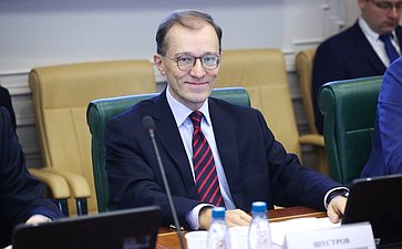 Круглый стол Комитета СФ по международным делам совместно с Комитетом СФ по конституционному законодательству и государственному строительству «Юрисдикция международных судебных и арбитражных органов в отношении Российской Федерации»