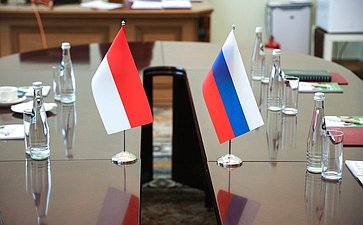 Встреча первого заместителя Председателя СФ Андрея Яцкина с заместителем председателя Народного консультативного конгресса Республики Индонезии