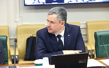 Круглый стол комитета Совета Федерации по экономической политике на тему «Вопросы восстановления и наращивания трансграничных и межрегиональных грузовых и пассажирских перевозок по реке Амур»
