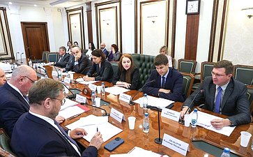 Заседание Комитета Совета Федерации по международным делам