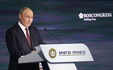 Президент Российской Федерации Владимир Путин