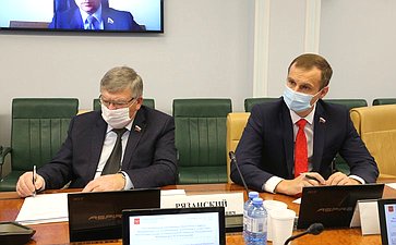 Расширенное заседание Комитета Совета Федерации по социальной политике