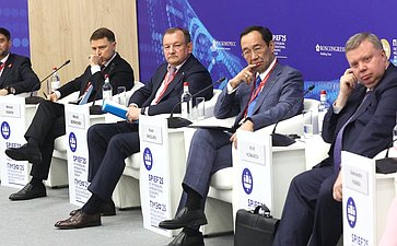 XXVIII Петербургский международный экономический форум (ПМЭФ’25). «Инвестиции в электроэнергетике на горизонте до 2050 года»