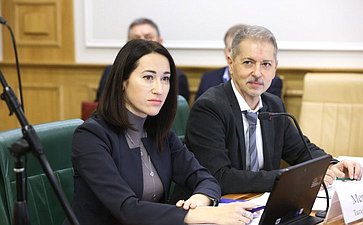 Заседание Комитета Совета Федерации по бюджету и финансовым рынкам