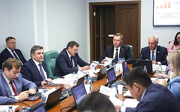 Расширенное заседание Комитета Совета Федерации по социальной политике (в рамках Дней Саратовской области в Совете Федерации)