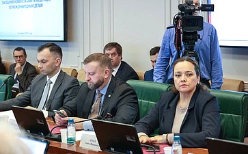 Заседание Комитета Совета Федерации по международным делам