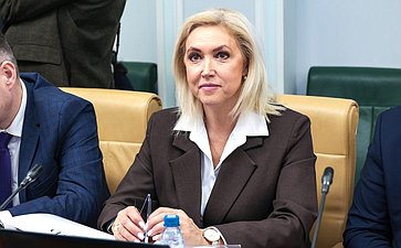 Расширенное заседание Комитета СФ по социальной политике (в рамках дней Тульской области в Совете Федерации)