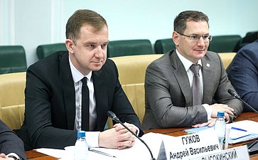 Круглый стол Комитета Совета Федерации по федеративному устройству, региональной политике, МСУ и делам Севера на тему «Актуальные проблемы развития сегмента строительства малоэтажных жилых комплексов»