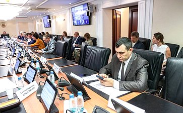 Заседание Комитета Совета Федерации по Регламенту и организации парламентской деятельности