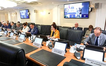 Заседание Комитета Совета Федерации по Регламенту и организации парламентской деятельности