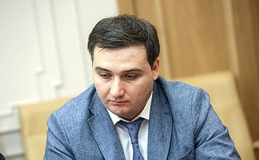 Заседание Палаты молодых законодателей при Совете Федерации