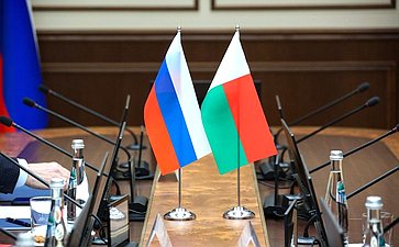 Встреча первого заместителя председателя Комитета СФ по бюджету и финансовым рынкам Александра Шендерюка-Жидкова с Председателем Национального Собрания Республики Мадагаскар Ситени Тьерри Рандриана Сулуниайку