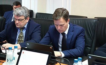 Расширенное заседание Комитета СФ по Регламенту и организации парламентской деятельности (в рамках Дней Волгоградской области в Совете Федерации)
