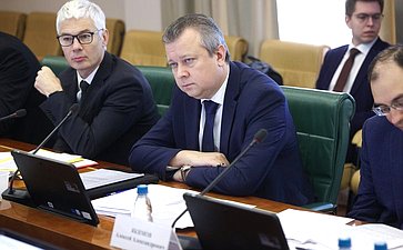Круглый стол Комитета СФ по международным делам совместно с Комитетом СФ по конституционному законодательству и государственному строительству «Юрисдикция международных судебных и арбитражных органов в отношении Российской Федерации»