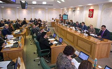 Расширенное заседание Комитета СФ по соцполитике