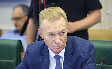 Расширенное заседание Комитета СФ по международным делам «О международных и внешнеэкономических связях Саратовской области» (в рамках Дней Саратовской области в Совете Федерации)