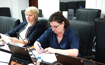 Круглый стол Комитета СФ по Регламенту и организации парламентской деятельности совместно с Комитетом СФ по экономической политике «Совершенствование законодательства Российской Федерации о государственном контроле (надзоре), муниципальном контроле»
