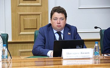 Александр Шендерюк-Жидков