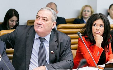 В. Штыров на расширенном заседании Комитета Совета Федерации по обороне и безопасности