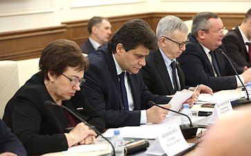 Заседание рабочей группы по подготовке предложений по обеспечению сбалансированности бюджетов субъектов РФ с учетом их особенностей