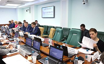 Заседание Комитета Совета Федерации по социальной политике