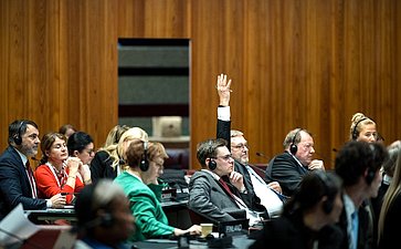 Сенаторы РФ приняли участие в заседании Постоянного комитета по вопросам демократии и прав человека Межпарламентского союза