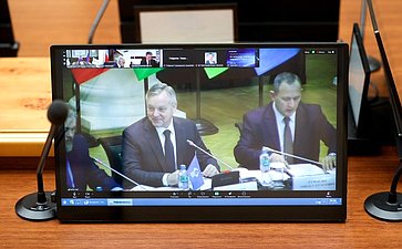 Сенаторы приняли участие в заседании Постоянной комиссии МПА СНГ по культуре, информации, туризму и спорту