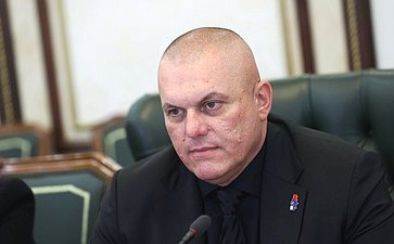 Встреча сенаторов с делегацией Народной скупщины Республики Сербии, членами фракции партии «Единая Сербия» и группы по сотрудничеству Народной скупщиной Республики Сербии с Советом Федерации