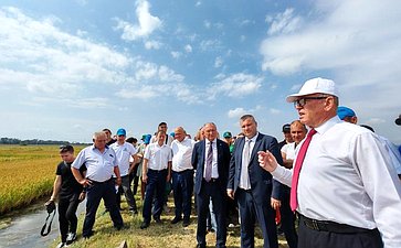 Алексей Кондратенко принял участие в мероприятиях, посвященных «Дню поля риса» на Кубани при организации Федерального научного центра Краснодарского края