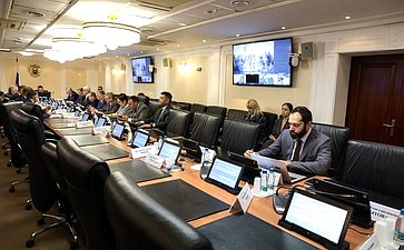 Заседание Комитета Совета Федерации по Регламенту и организации парламентской деятельности