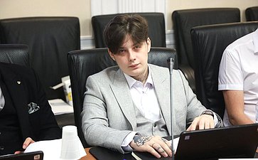 Заседание секции «Обеспечения технологического суверенитета и информационной безопасности РФ» Совета по развитию цифровой экономики при СФ