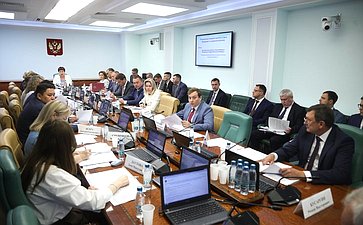 Расширенное заседание Комитета Совета Федерации по социальной политике (в рамках Дней Саратовской области в Совете Федерации)