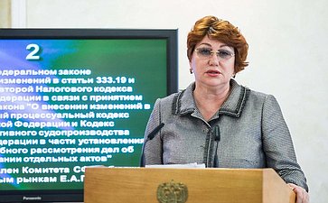 Е. Петрминова Заседание Комитета Совета Федерации по бюджету и финансовым рынкам