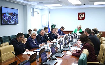 Заседание Комитета Совета Федерации по науке, образованию и культуре