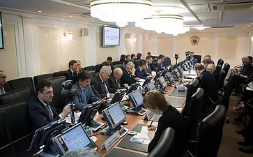 В. Тюльпанов на заседании Комитета СФ по Регламенту и организации парламентской деятельности