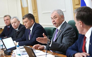 Заседание Комитета Совета Федерации по бюджету и финансовым рынкам