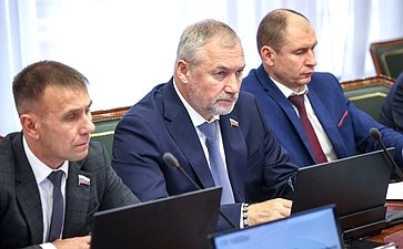 Круглый стол Комитета СФ по обороне и безопасности совместно с Комитетом СФ по социальной политике на тему «О деятельности государственных органов по поиску погибших, пропавших без вести и освобождению попавших в плен участников СВО»