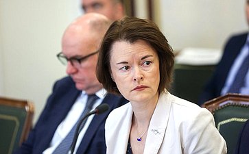Заседание Комитета Совета Федерации по обороне и безопасности
