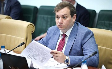 Расширенное заседание Комитета Совета Федерации по социальной политике (в рамках Дней Саратовской области в Совете Федерации)