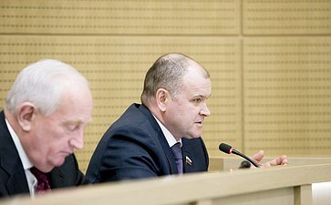 И. Чернышев 371-е заседание Совета Федерации