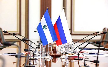 Встреча Елены Писаревой с Чрезвычайным и Полномочным Послом Республики Эль-Сальвадор в Российской Федерации Юрием Павлом Сантакрусом Пердомо